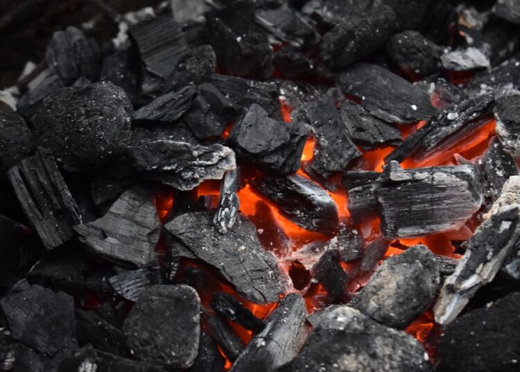 coal-Price-Update-2024