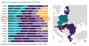 SEE-Report-2025