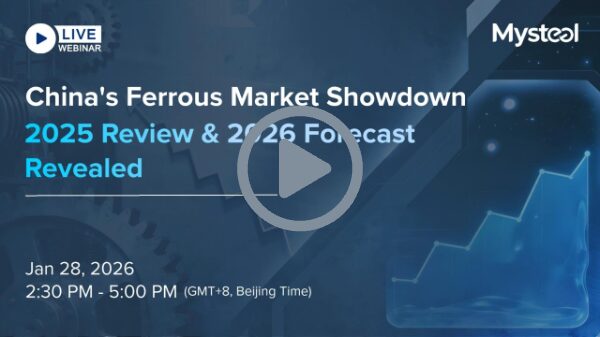 China ferrous market outlook webinar covering coal and steel markets in 2025 and 2026