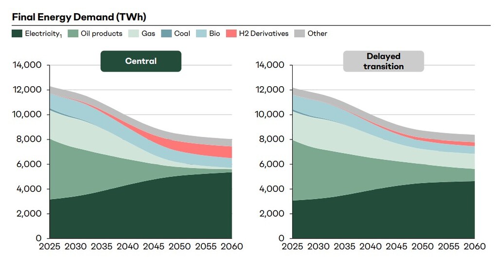 Chart comparing final energy demand by fuel type in Europe under central and delayed transition scenarios